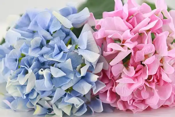 Real Touch Hydrangea Arrangements 101: Mix Real Touch Flowers with Artificial for Stunning Results